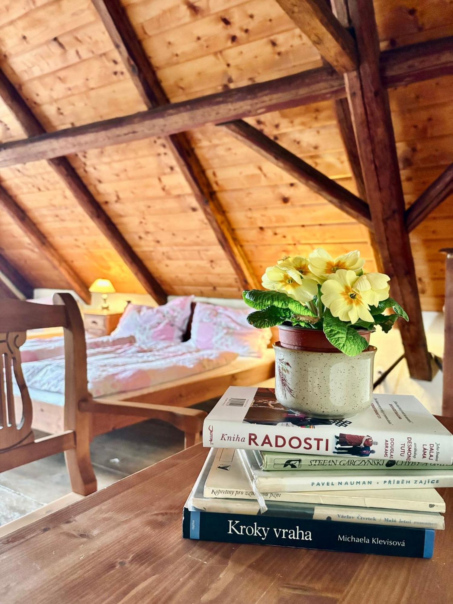 Apartmany Penzion Katerina Nadejkov Esterno foto
