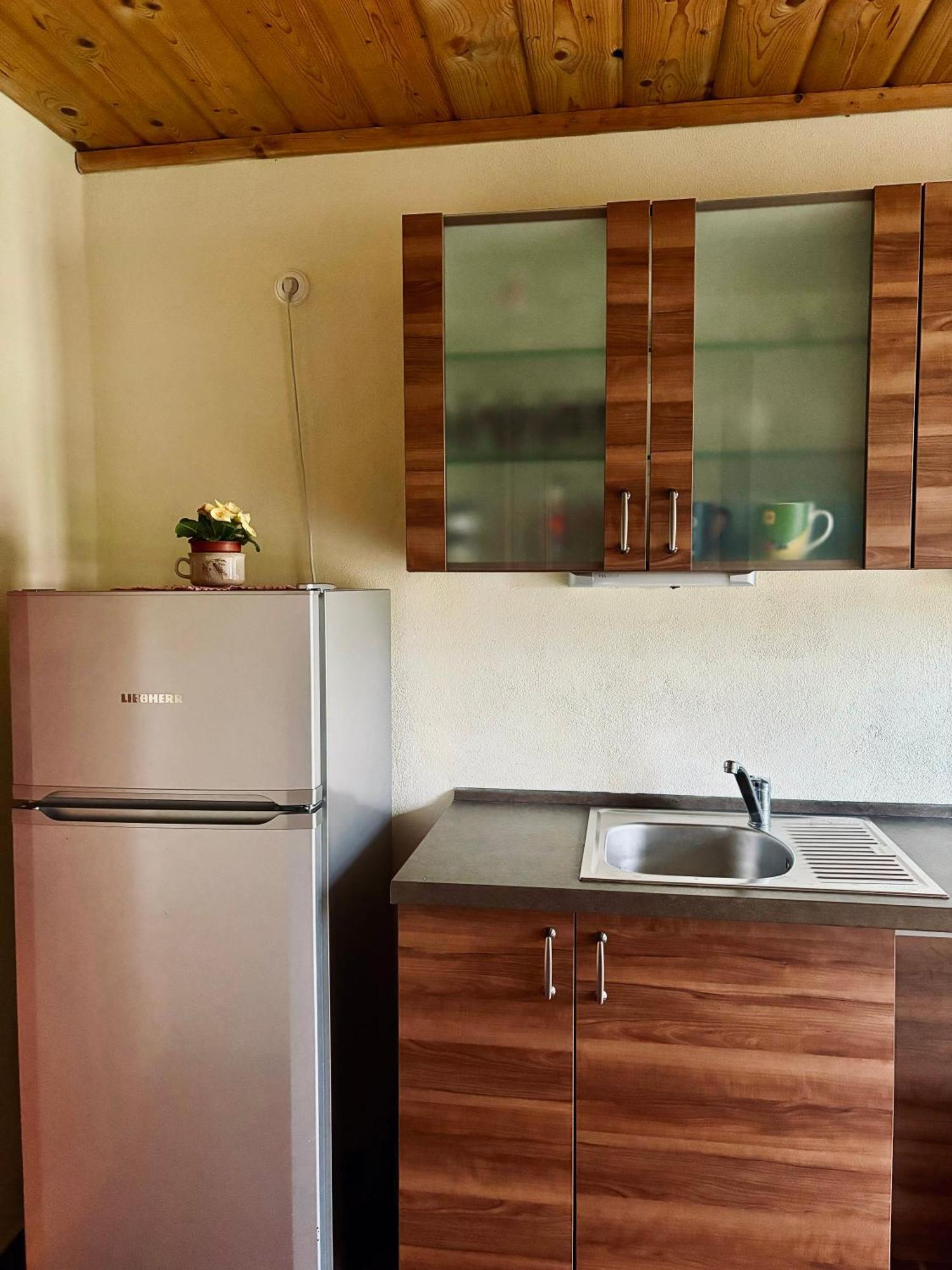 Apartmany Penzion Katerina Nadejkov Esterno foto